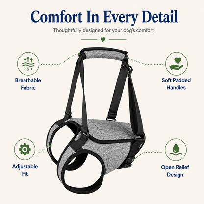 EverWalk ComfortLift™